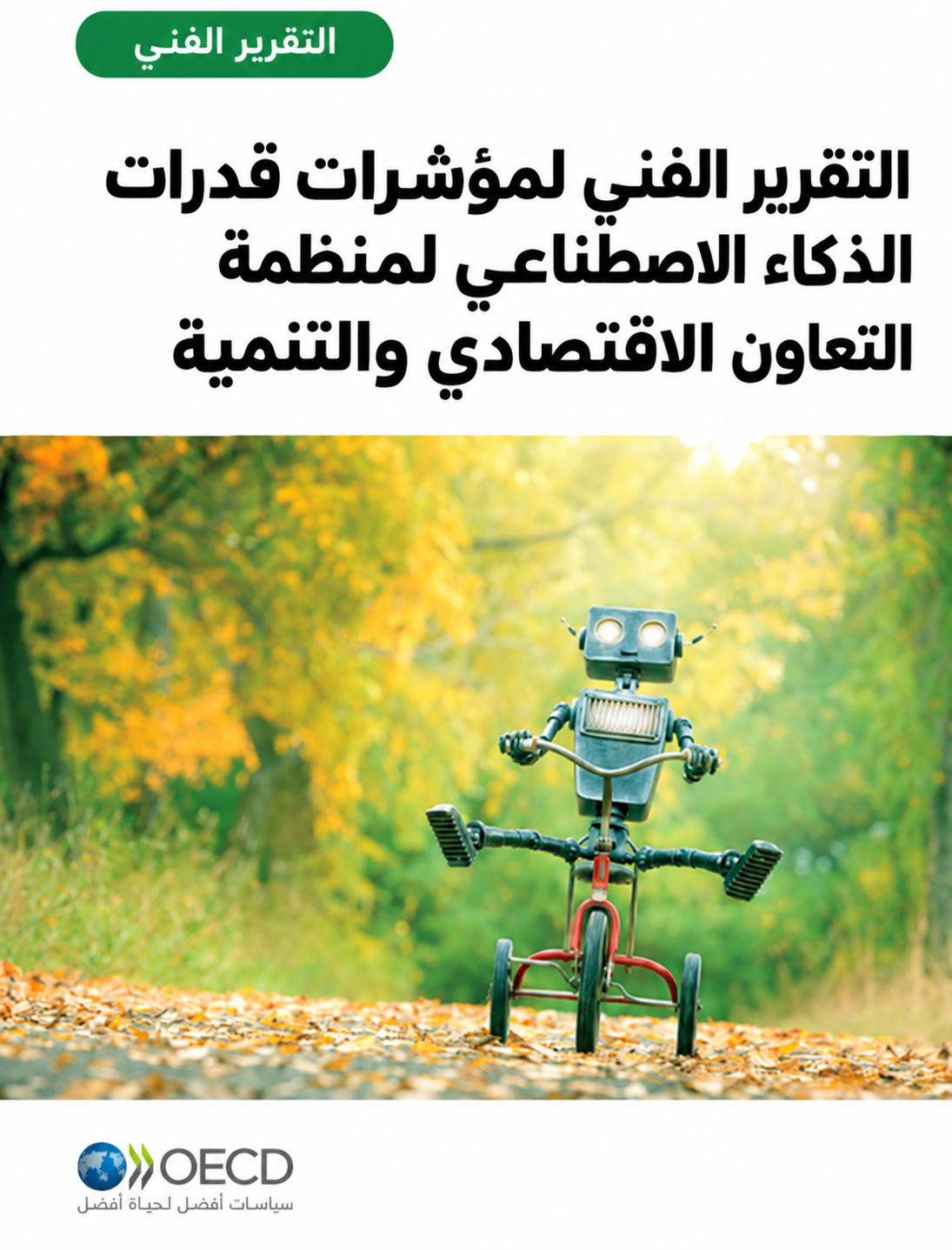 مؤشرات قدرات الذكاء الاصطناعي الصادرة عن منظمة التعاون الاقتصادي والتنمية: التقرير الفني (14/1)